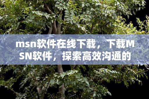 msn软件在线下载，下载MSN软件，探索高效沟通的新世界