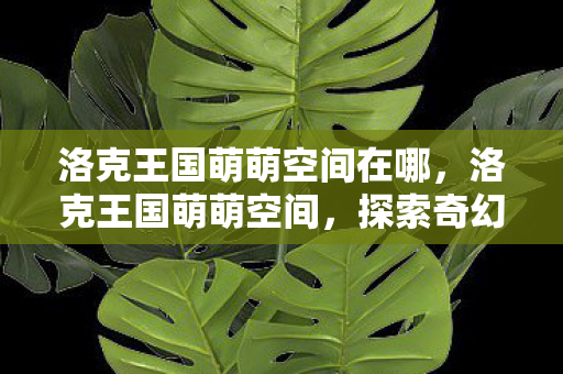 洛克王国萌萌空间在哪，洛克王国萌萌空间，探索奇幻王国的奇妙之旅