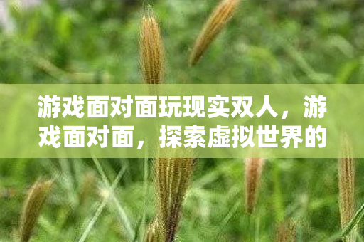 游戏面对面玩现实双人，游戏面对面，探索虚拟世界的无限可能
