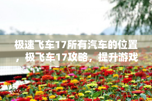 极速飞车17所有汽车的位置，极飞车17攻略，提升游戏技巧与体验的全面指南