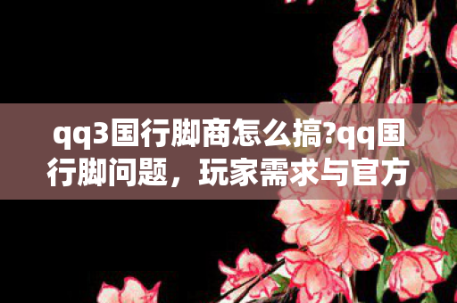 qq3国行脚商怎么搞?qq国行脚问题，玩家需求与官方回应的探讨
