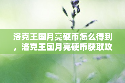 洛克王国月亮硬币怎么得到，洛克王国月亮硬币获取攻略