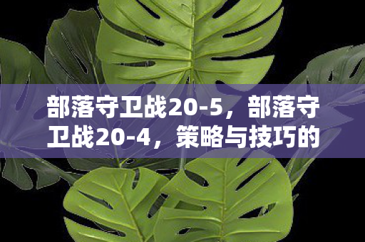部落守卫战20-5，部落守卫战20-4，策略与技巧的深度剖析