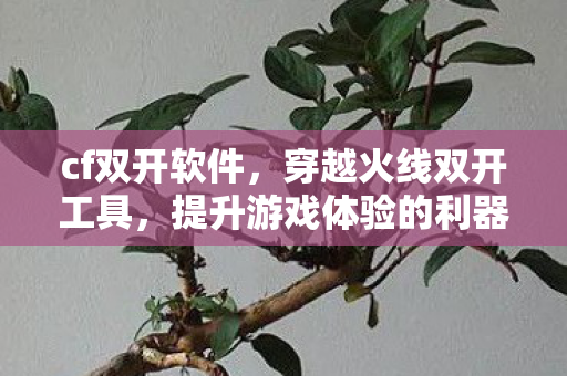 cf双开软件，穿越火线双开工具，提升游戏体验的利器