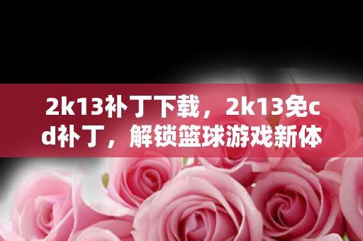 2k13补丁下载，2k13免cd补丁，解锁篮球游戏新体验