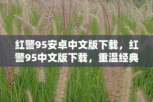 红警95安卓中文版下载，红警95中文版下载，重温经典战役，重温红色警戒