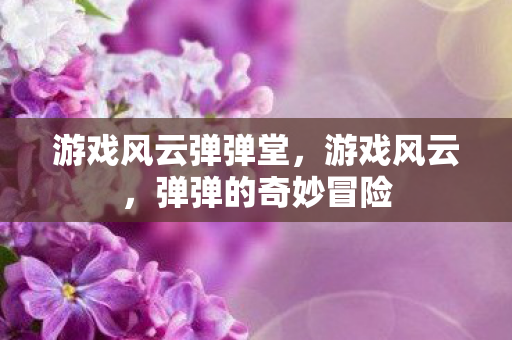 游戏风云弹弹堂，游戏风云，弹弹的奇妙冒险