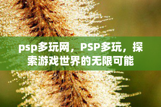psp多玩网，PSP多玩，探索游戏世界的无限可能
