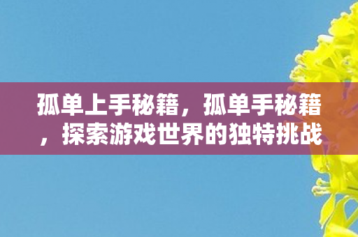 孤单上手秘籍，孤单手秘籍，探索游戏世界的独特挑战