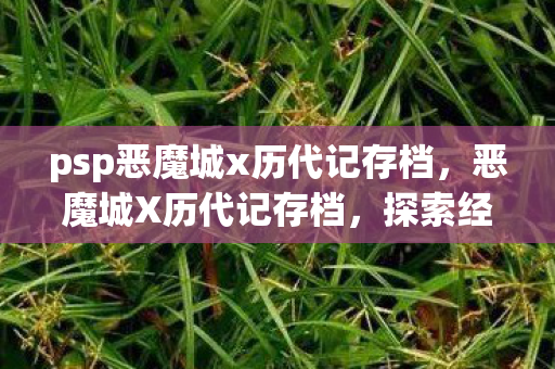 psp恶魔城x历代记存档，恶魔城X历代记存档，探索经典与传承的珍贵记录