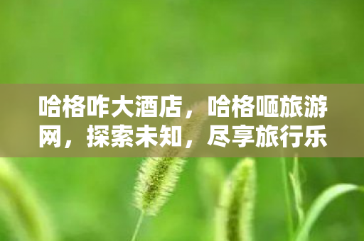 哈格咋大酒店，哈格咂旅游网，探索未知，尽享旅行乐趣