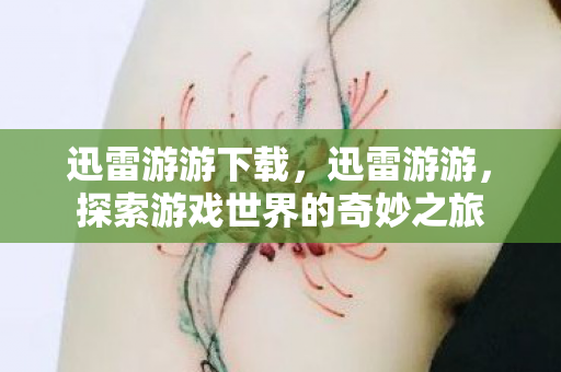 迅雷游游下载，迅雷游游，探索游戏世界的奇妙之旅