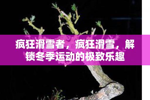 疯狂滑雪者，疯狂滑雪，解锁冬季运动的极致乐趣