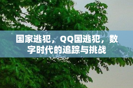 国家逃犯，QQ国逃犯，数字时代的追踪与挑战