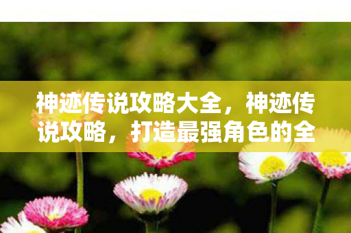 神迹传说攻略大全，神迹传说攻略，打造最强角色的全面指南