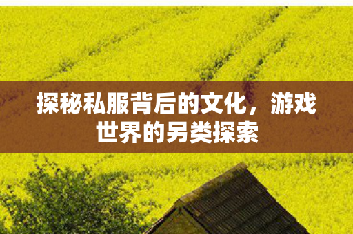 探秘私服背后的文化，游戏世界的另类探索