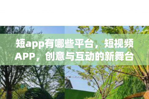 短app有哪些平台，短视频APP，创意与互动的新舞台