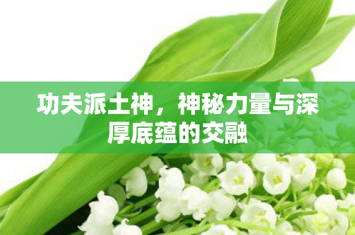 功夫派土神，神秘力量与深厚底蕴的交融
