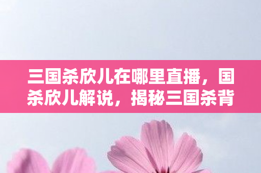 三国杀欣儿在哪里直播，国杀欣儿解说，揭秘三国杀背后的策略与智慧