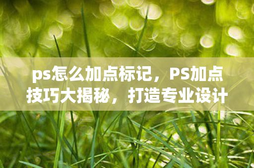ps怎么加点标记，PS加点技巧大揭秘，打造专业设计感的秘诀