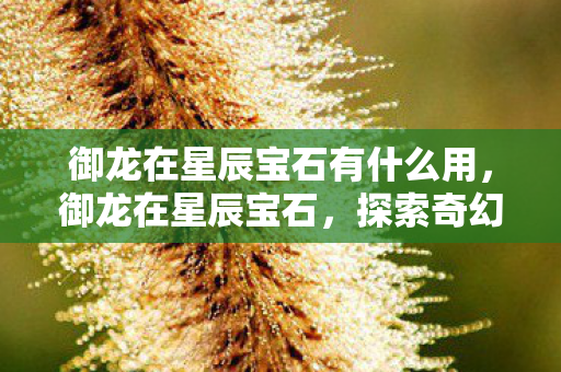 御龙在星辰宝石有什么用，御龙在星辰宝石，探索奇幻世界的璀璨瑰宝