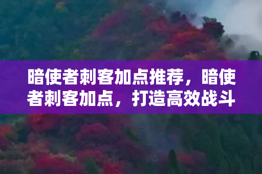 暗使者刺客加点推荐，暗使者刺客加点，打造高效战斗力的关键