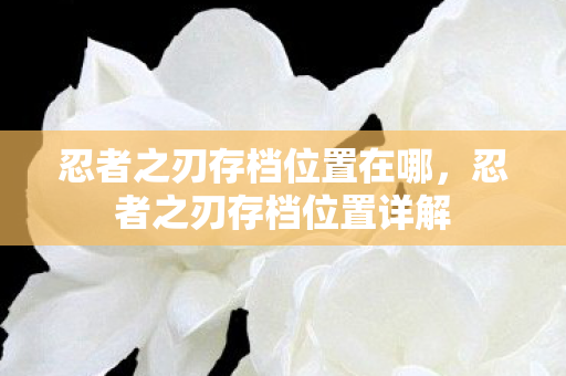 忍者之刃存档位置在哪，忍者之刃存档位置详解