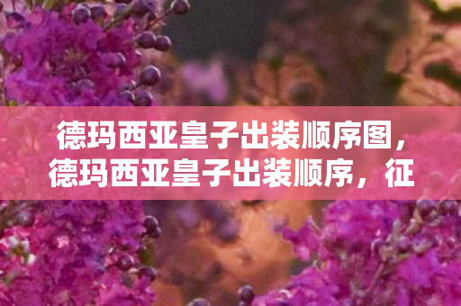 德玛西亚皇子出装顺序图，德玛西亚皇子出装顺序，征服战场的最佳装备搭配