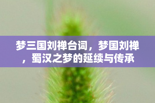 梦三国刘禅台词，梦国刘禅，蜀汉之梦的延续与传承