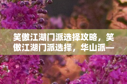 笑傲江湖门派选择攻略，笑傲江湖门派选择，华山派—剑指苍穹，气吞万里