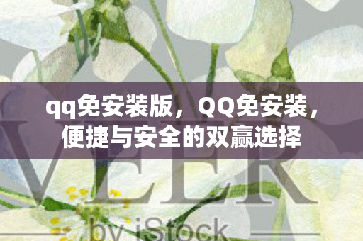 qq免安装版，QQ免安装，便捷与安全的双赢选择