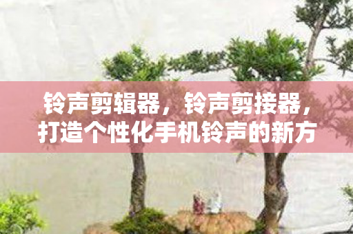 铃声剪辑器，铃声剪接器，打造个性化手机铃声的新方式