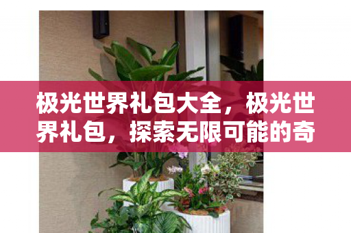 极光世界礼包大全，极光世界礼包，探索无限可能的奇幻之旅
