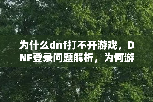 为什么dnf打不开游戏，DNF登录问题解析，为何游戏无法打开？