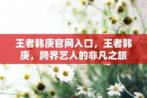 王者韩庚官网入口，王者韩庚，跨界艺人的非凡之旅