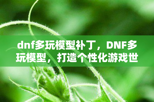 dnf多玩模型补丁，DNF多玩模型，打造个性化游戏世界的艺术探索