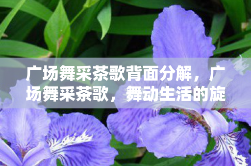 广场舞采茶歌背面分解，广场舞采茶歌，舞动生活的旋律