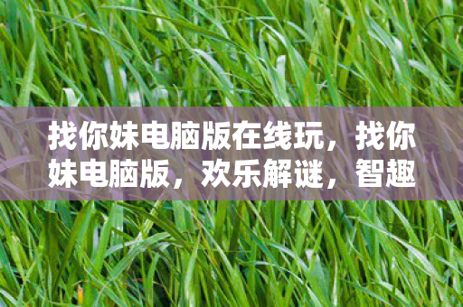 找你妹电脑版在线玩，找你妹电脑版，欢乐解谜，智趣无限