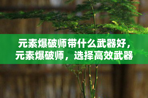 元素爆破师带什么武器好，元素爆破师，选择高效武器的关键