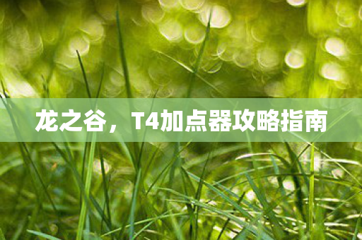 龙之谷，T4加点器攻略指南