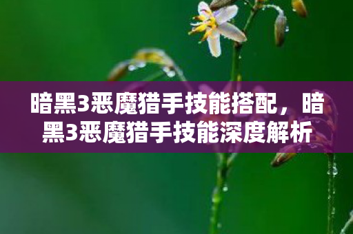 暗黑3恶魔猎手技能搭配，暗黑3恶魔猎手技能深度解析，猎魔之舞