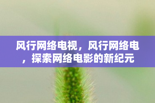 风行网络电视，风行网络电，探索网络电影的新纪元