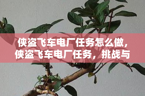 侠盗飞车电厂任务怎么做，侠盗飞车电厂任务，挑战与策略