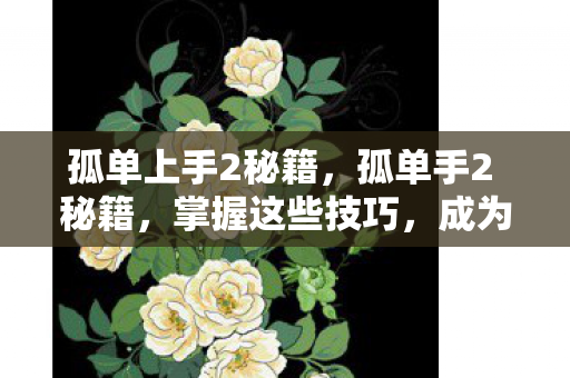 孤单上手2秘籍，孤单手2 秘籍，掌握这些技巧，成为游戏高手