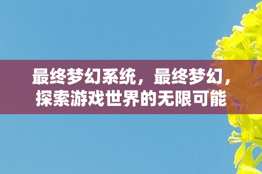 最终梦幻系统，最终梦幻，探索游戏世界的无限可能