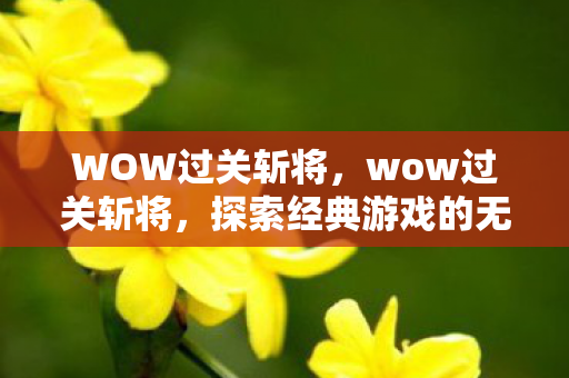 WOW过关斩将，wow过关斩将，探索经典游戏的无尽挑战与魅力
