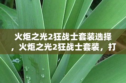 火炬之光2狂战士套装选择，火炬之光2狂战士套装，打造最强战斗力的必备神器