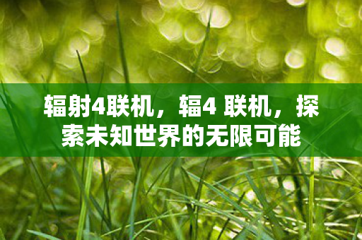 辐射4联机，辐4 联机，探索未知世界的无限可能