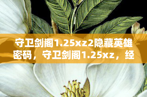 守卫剑阁1.25xz2隐藏英雄密码，守卫剑阁1.25xz，经典再现，情怀与策略并重的传奇之作