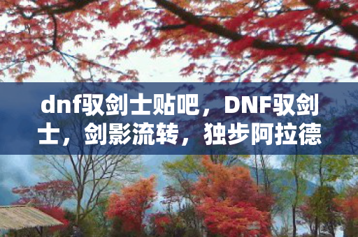 dnf驭剑士贴吧，DNF驭剑士，剑影流转，独步阿拉德大陆